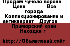 Продам чучело варана. › Цена ­ 15 000 - Все города Коллекционирование и антиквариат » Другое   . Приморский край,Находка г.